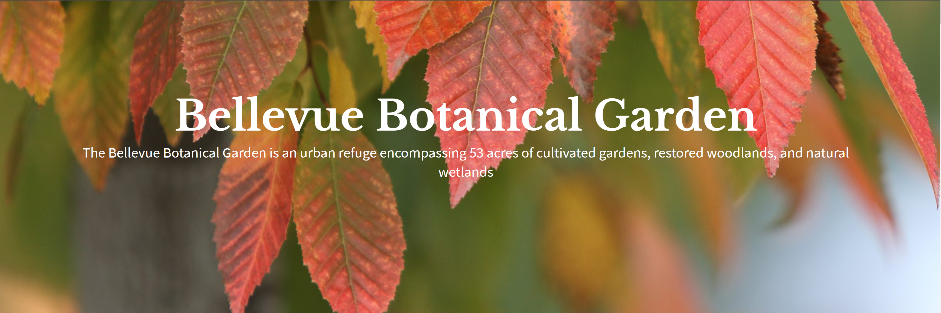 Botanical Garden Home Page